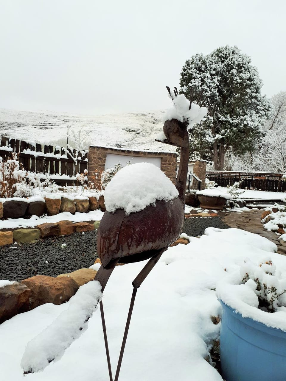 Alpine Swift Trails Nature lodge in Eastern Cape