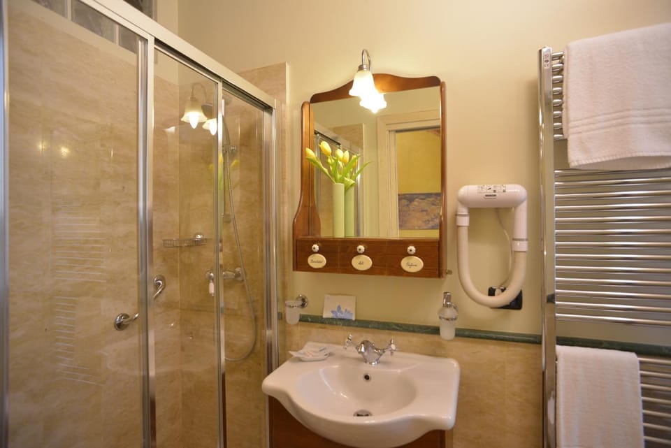 Shower, Toilet, Bathroom, towels