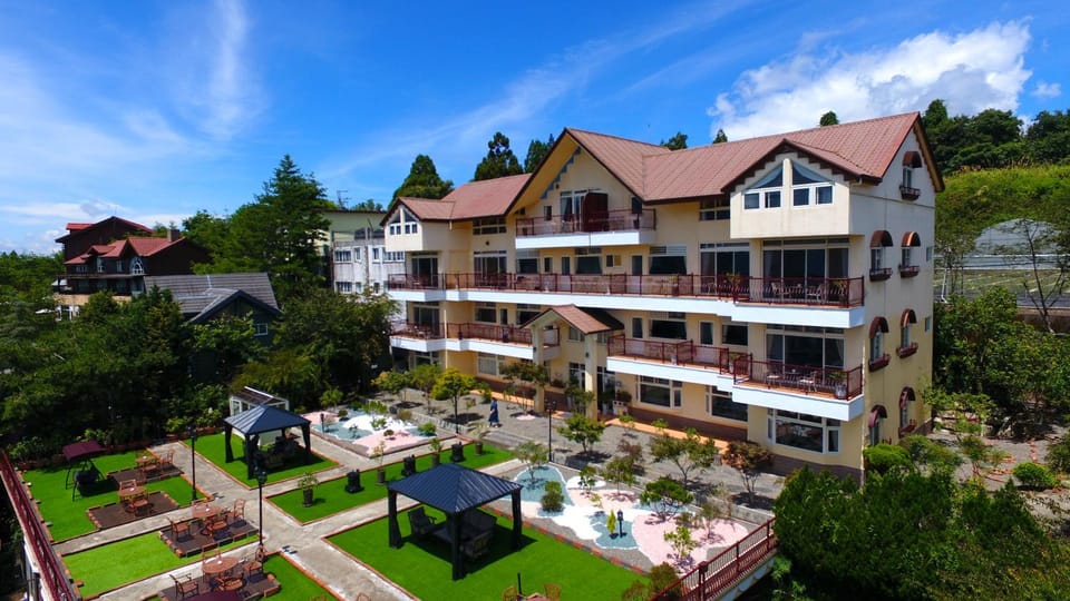 Property building, Neighbourhood, Bird's eye view