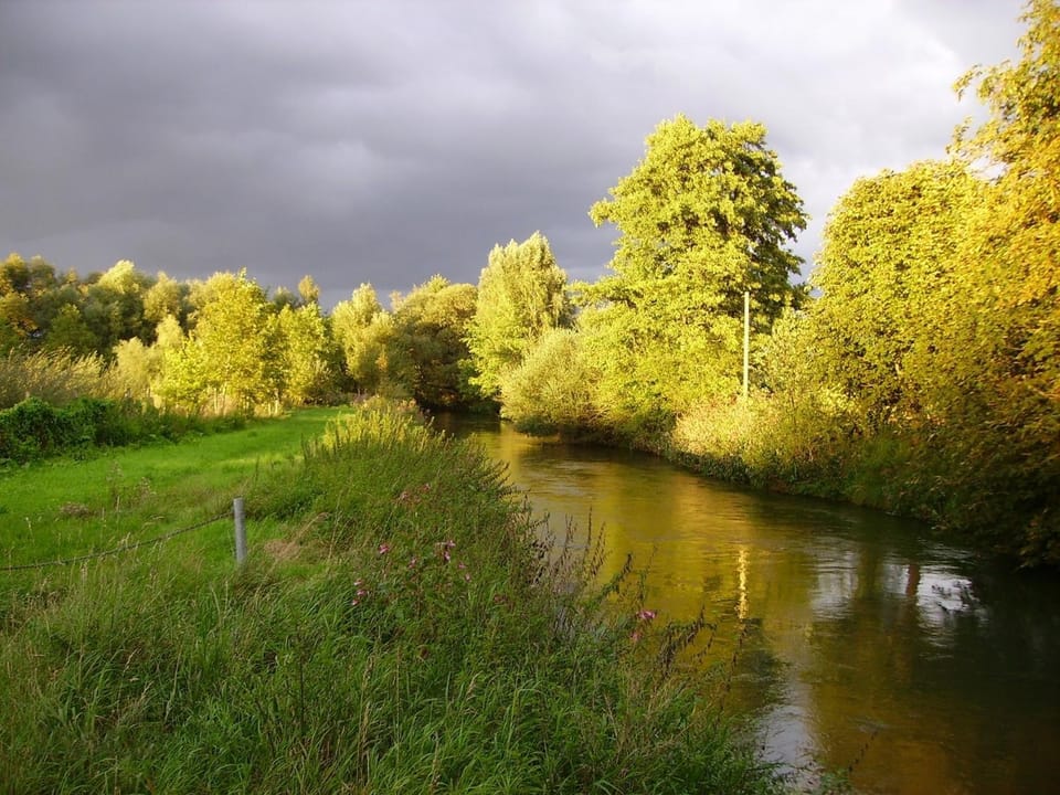Natural landscape, On site