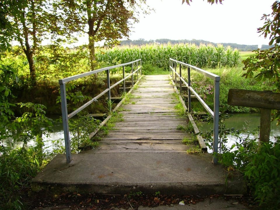 Natural landscape