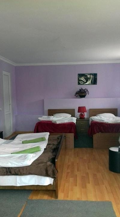 Nino Khetaguri Guest House Inn in Georgia