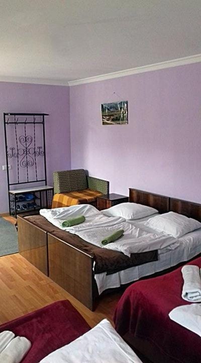 Nino Khetaguri Guest House Inn in Georgia