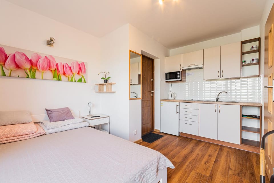 Bed, Kitchen or kitchenette, Photo of the whole room, microwave, stove