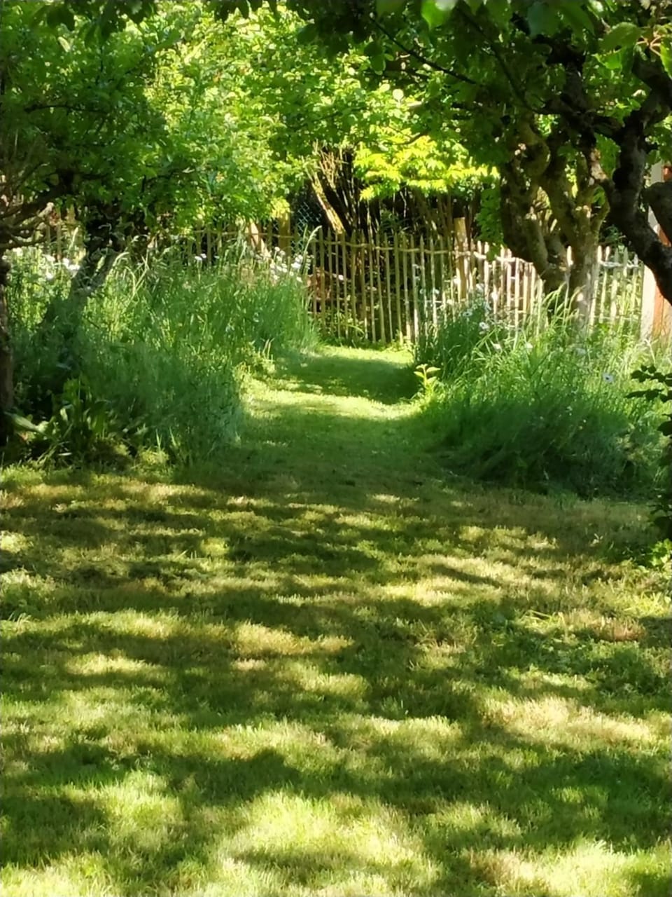 Natural landscape, Garden