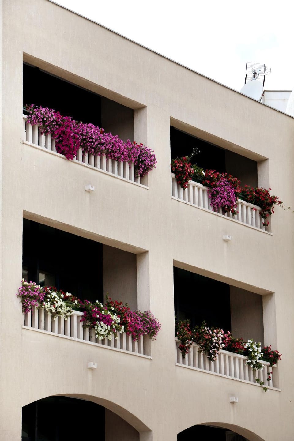 Property building, Day
