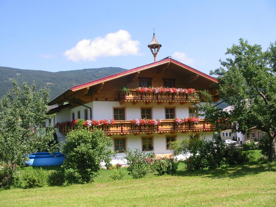 Summer, Garden view