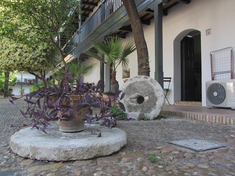 Patio, Area and facilities