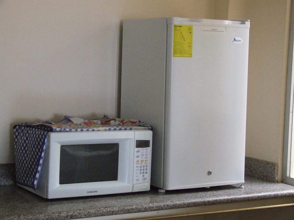Kitchen or kitchenette, minibar, oven
