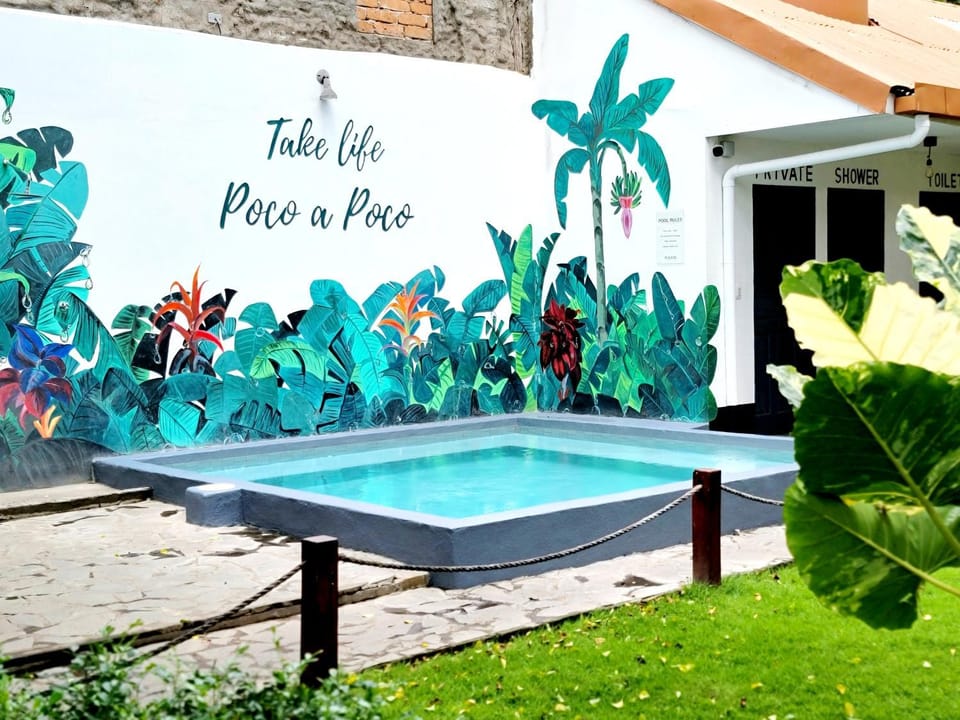 Spring, Day, Swimming pool