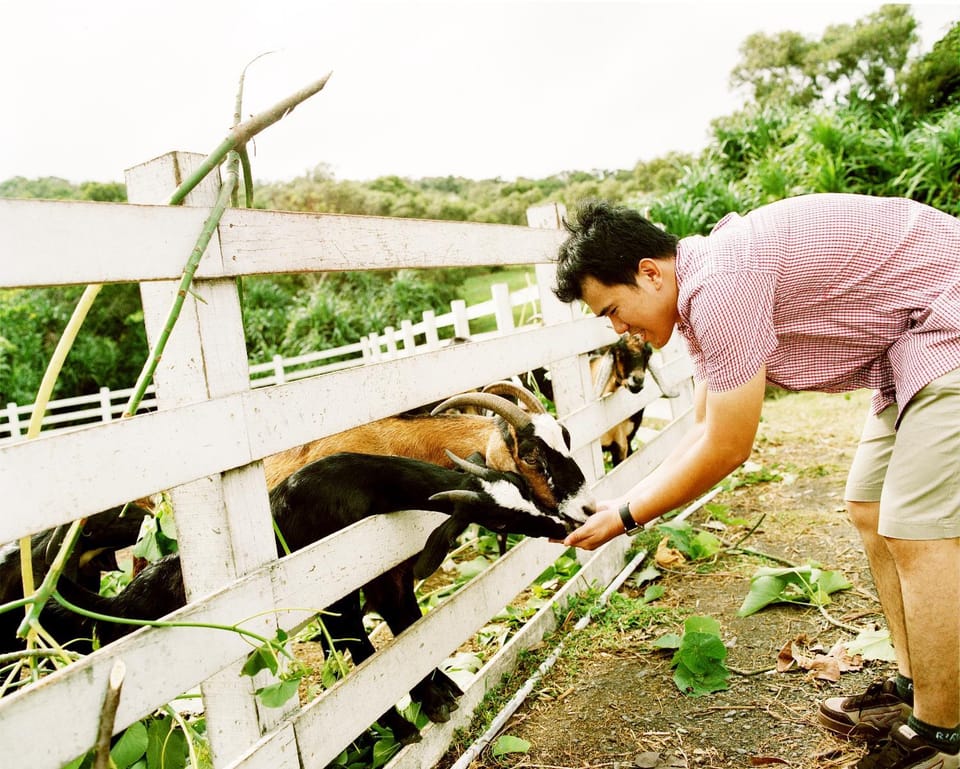 Animals