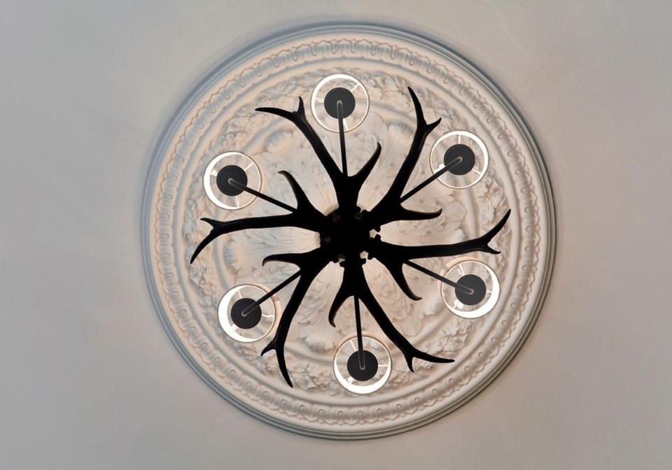 Bed, Living room, Decorative detail, Dining area, Bedroom, Guests, children, group of guests, Family