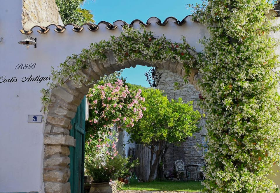 Spring, Day, Garden view