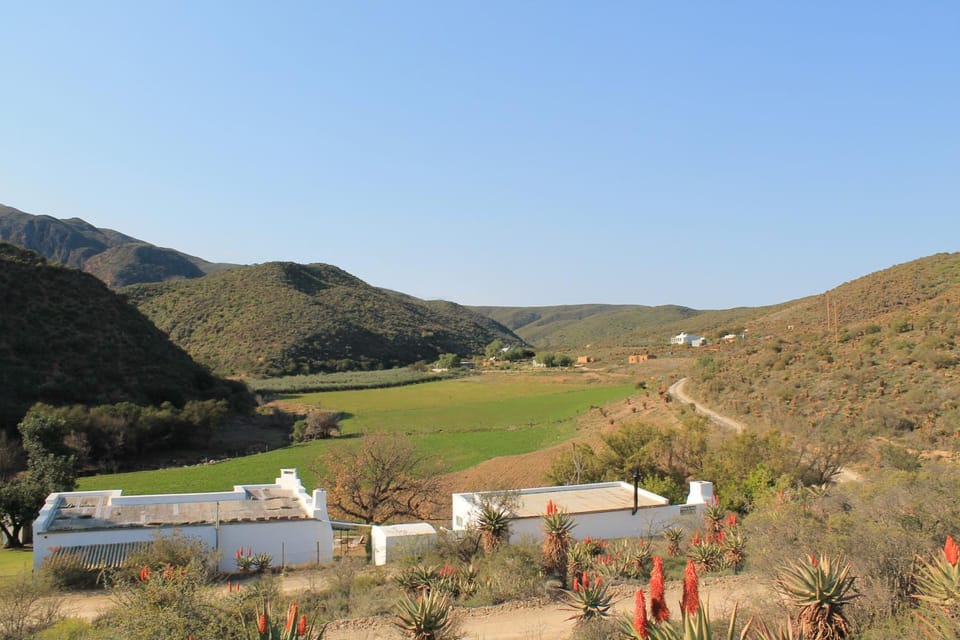 Natural landscape