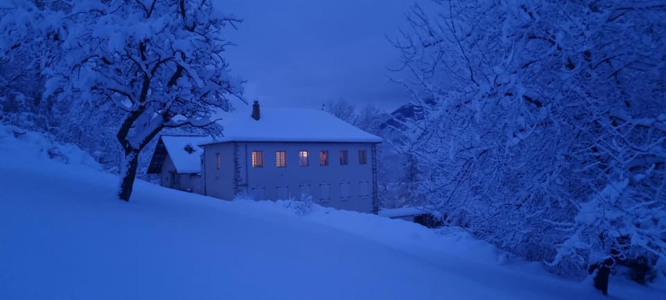 Winter