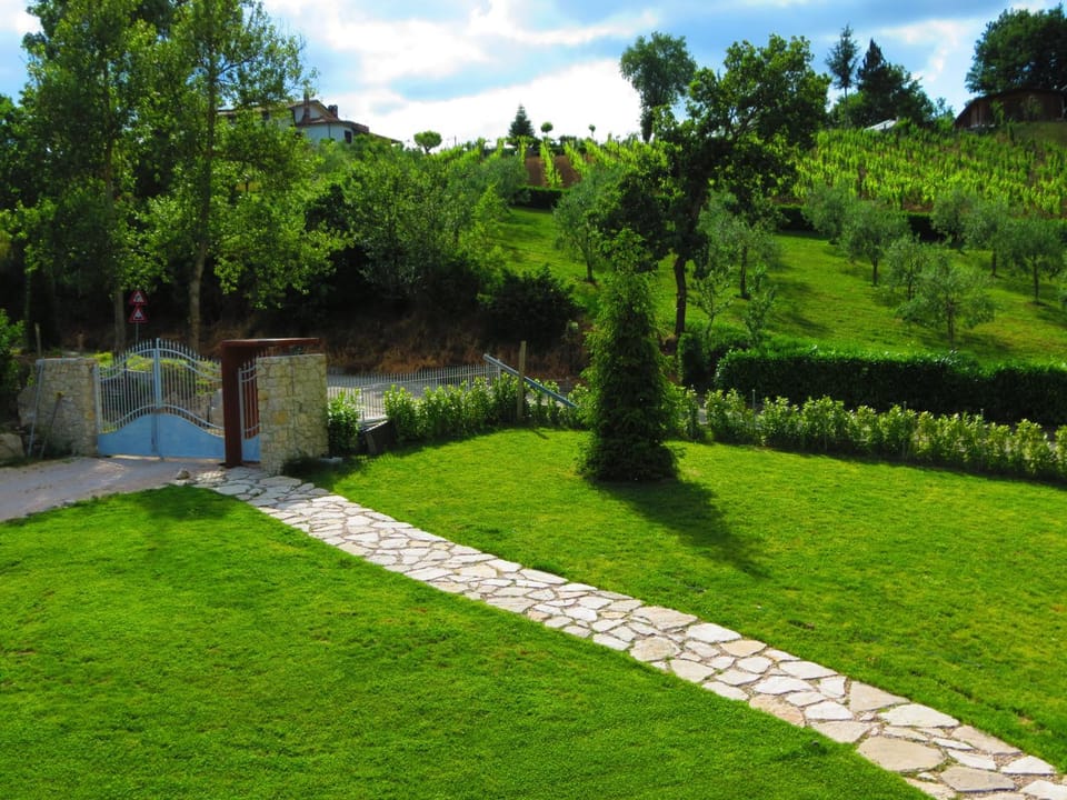 Garden view