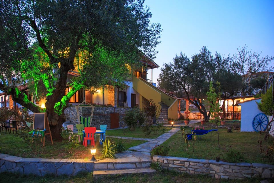 Spring, Garden, Floor plan, Sunset