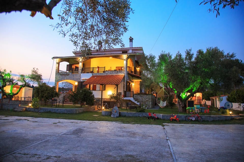 Garden, Floor plan, Sunset
