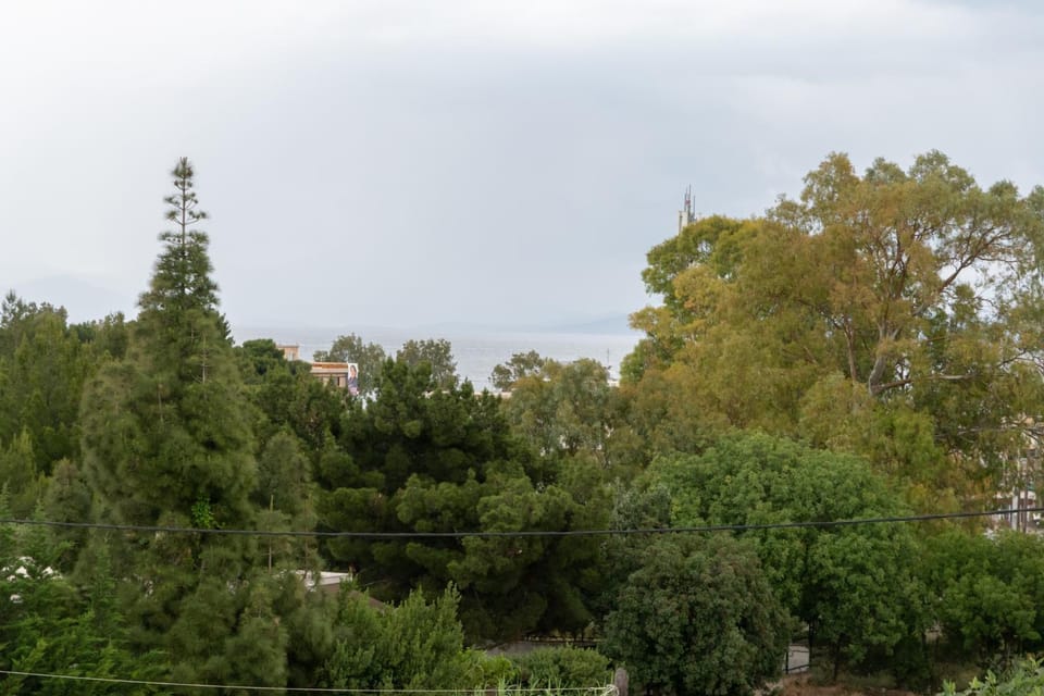 Rose's House (Near Airport) Apartment in East Attica Regional Unit, Greece