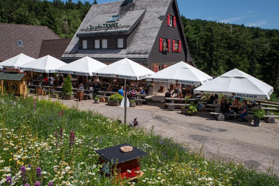 Patio, Restaurant/places to eat, Facade/entrance, Property logo or sign, BBQ facilities, Garden, Skiing, Balcony/Terrace, Hiking, Cycling, Garden view, Landmark view, Lunch, Dinner, Alcoholic drinks, Non alcoholic drinks, group of guests, Family