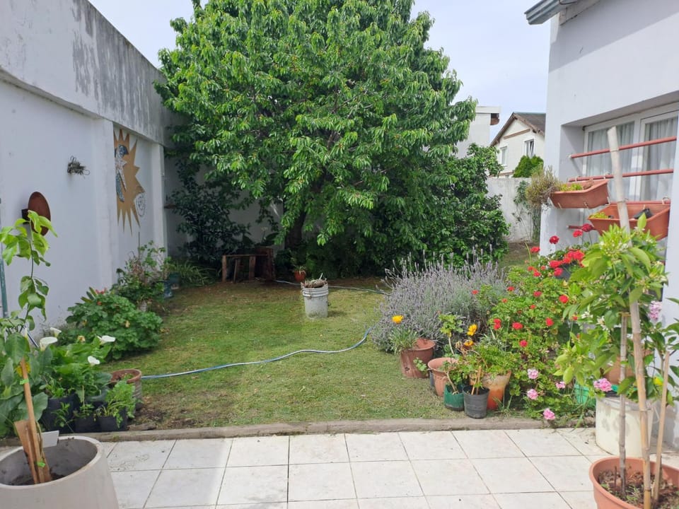 El cerezo Bed and Breakfast in Tandil