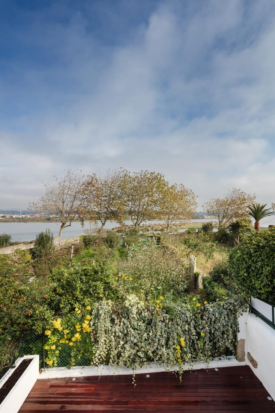 River view