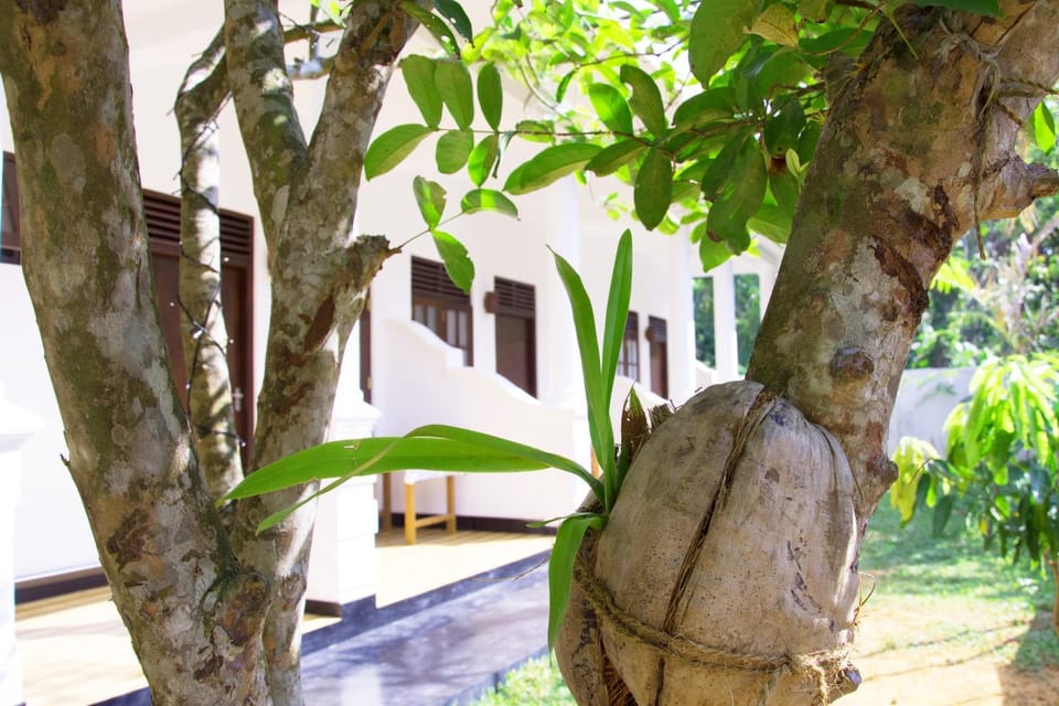 Facade/entrance, Natural landscape, Garden, Balcony/Terrace, Garden view