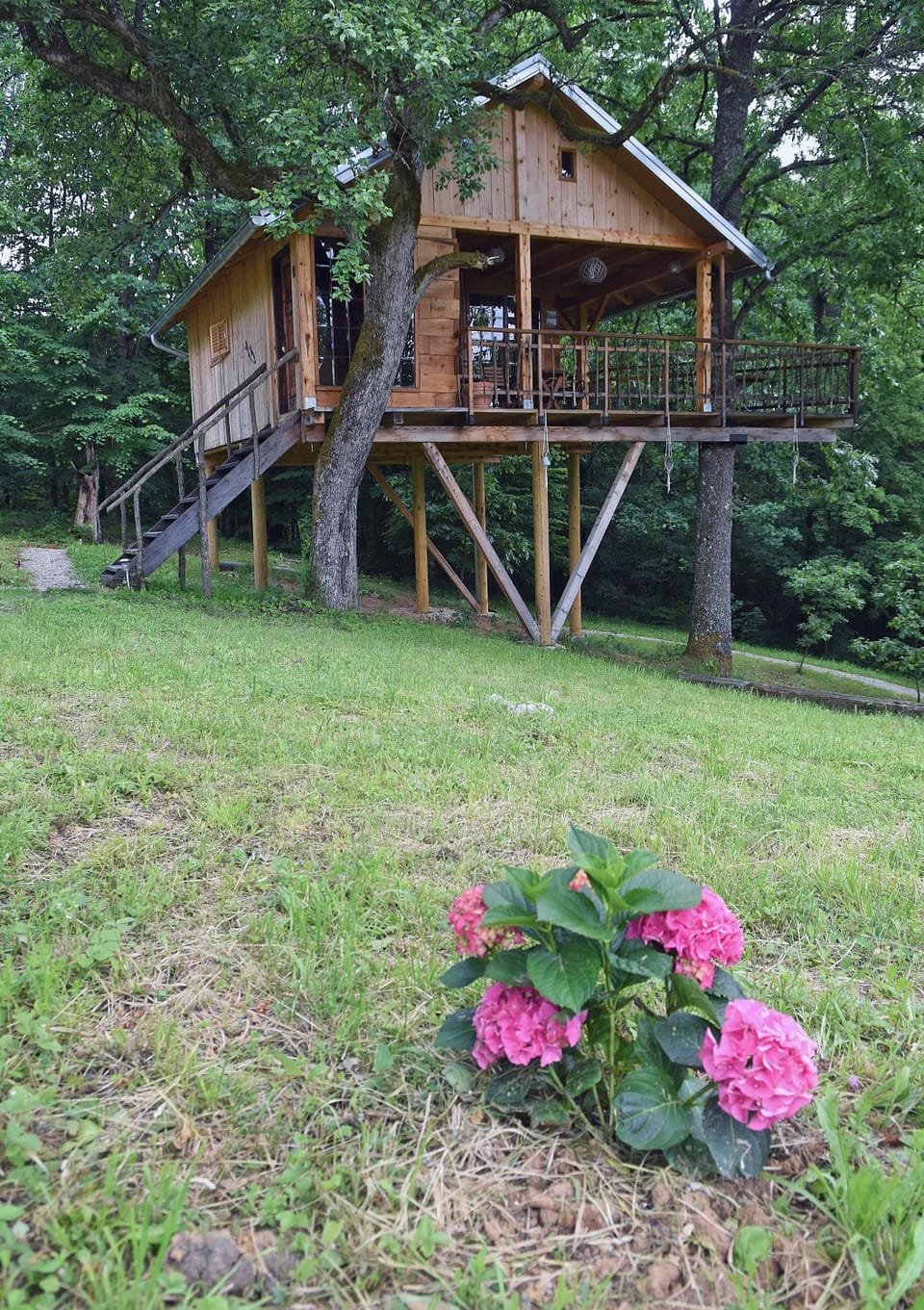 Treehouse Resnice -Mrežnica Nature lodge in Croatia