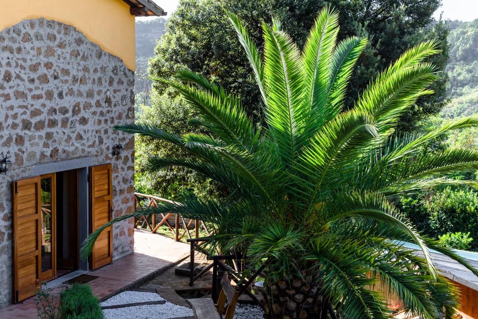 Patio, Facade/entrance, Balcony/Terrace