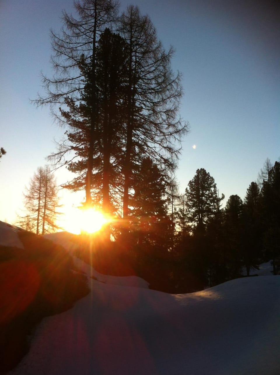 Winter