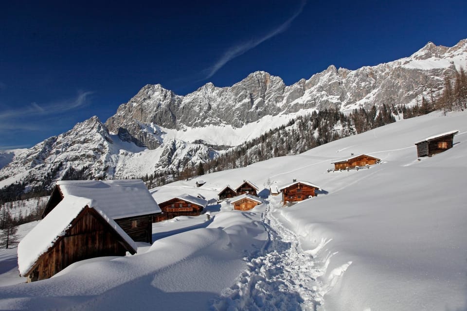 Day, Winter, Skiing, Hiking