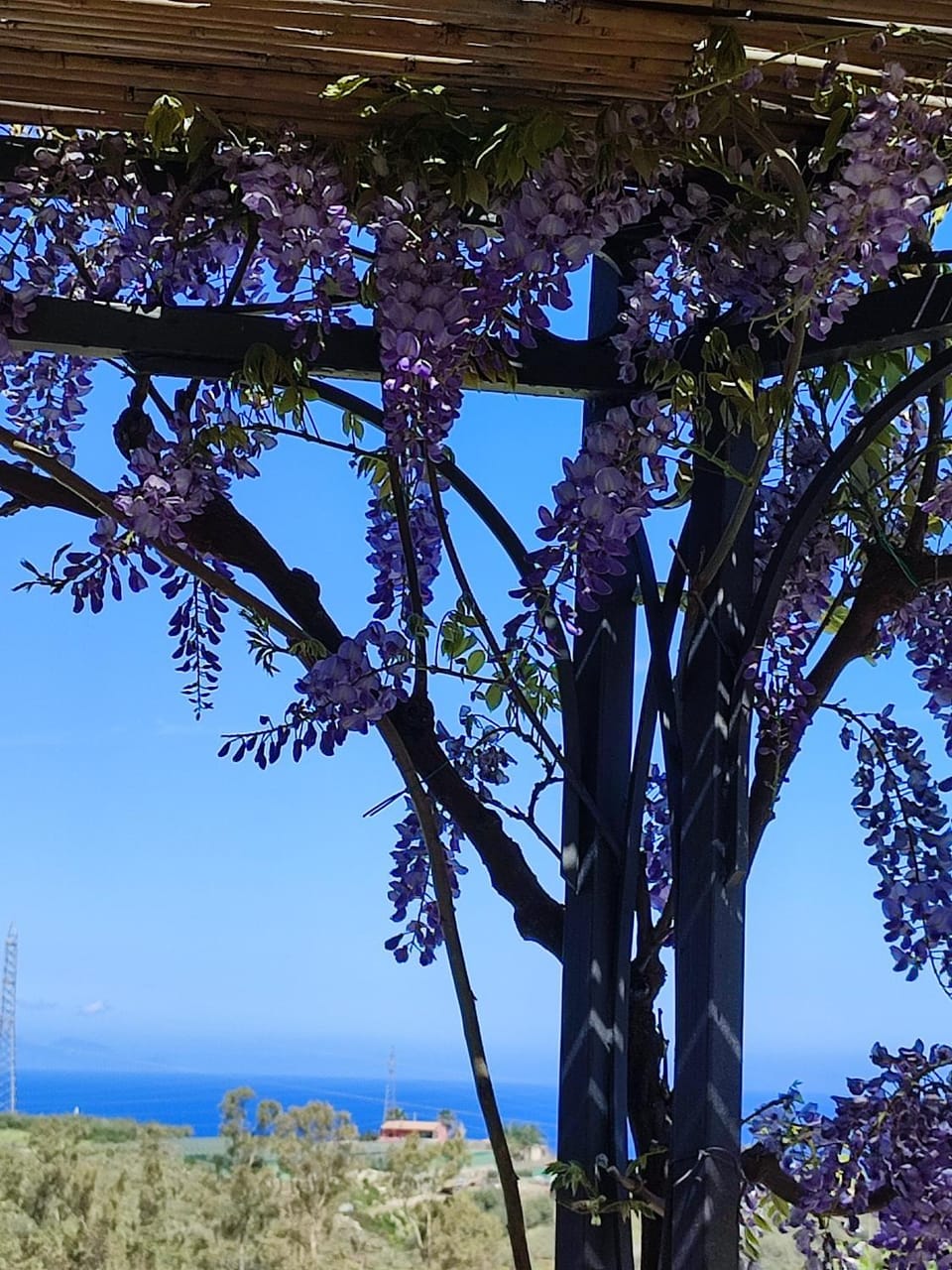 Natural landscape, Garden