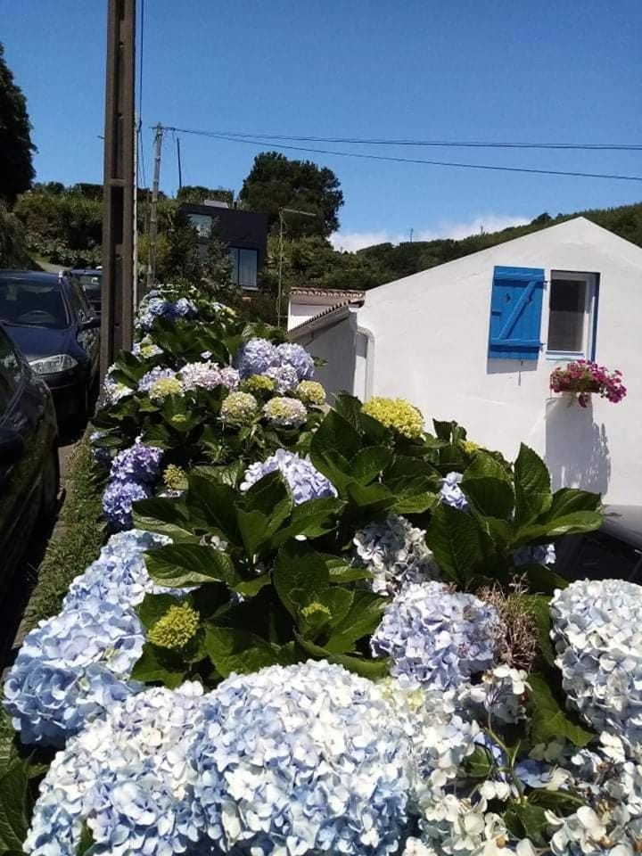 Ribeira da Praia House House in Azores District