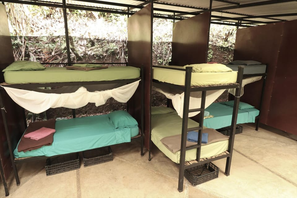 bunk bed
