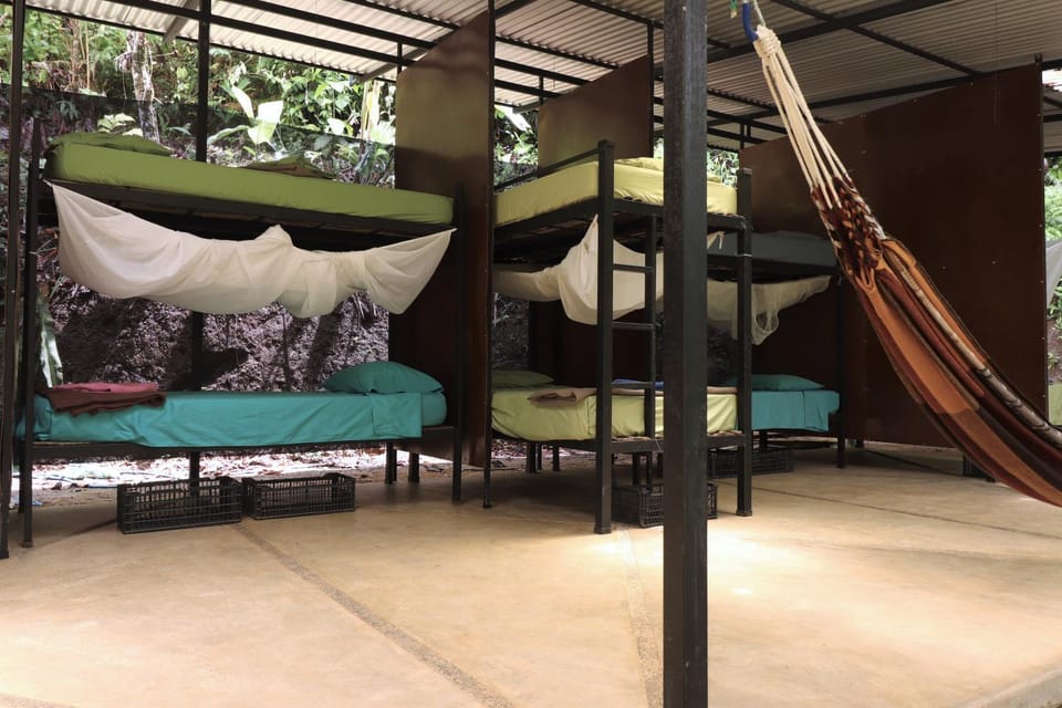 bunk bed