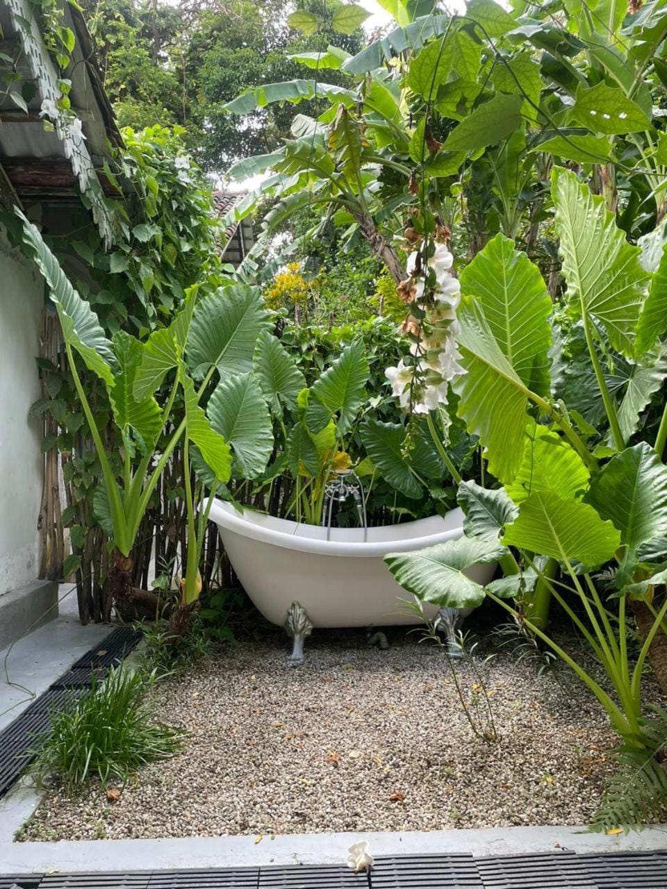 Bathroom, Bath