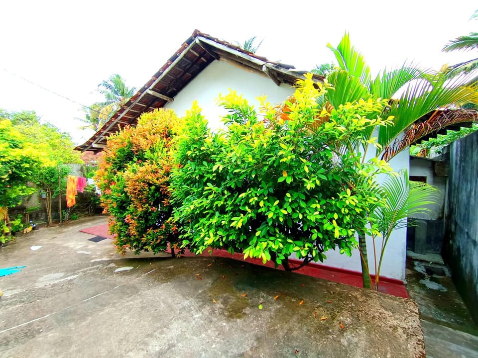 Sisara Sun Hill Bed and Breakfast in Mirissa