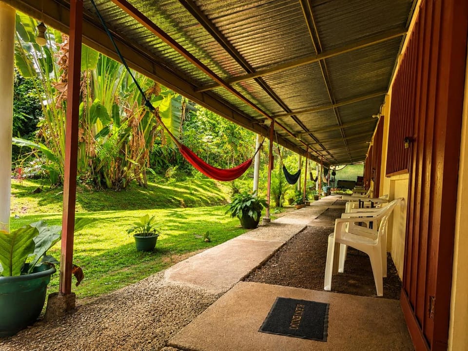 Patio, Garden, Balcony/Terrace, Garden view