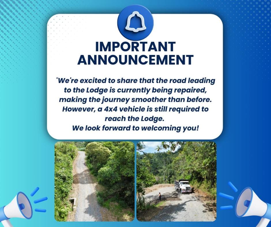 Text overlay, Street view