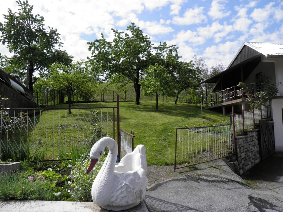 Natural landscape