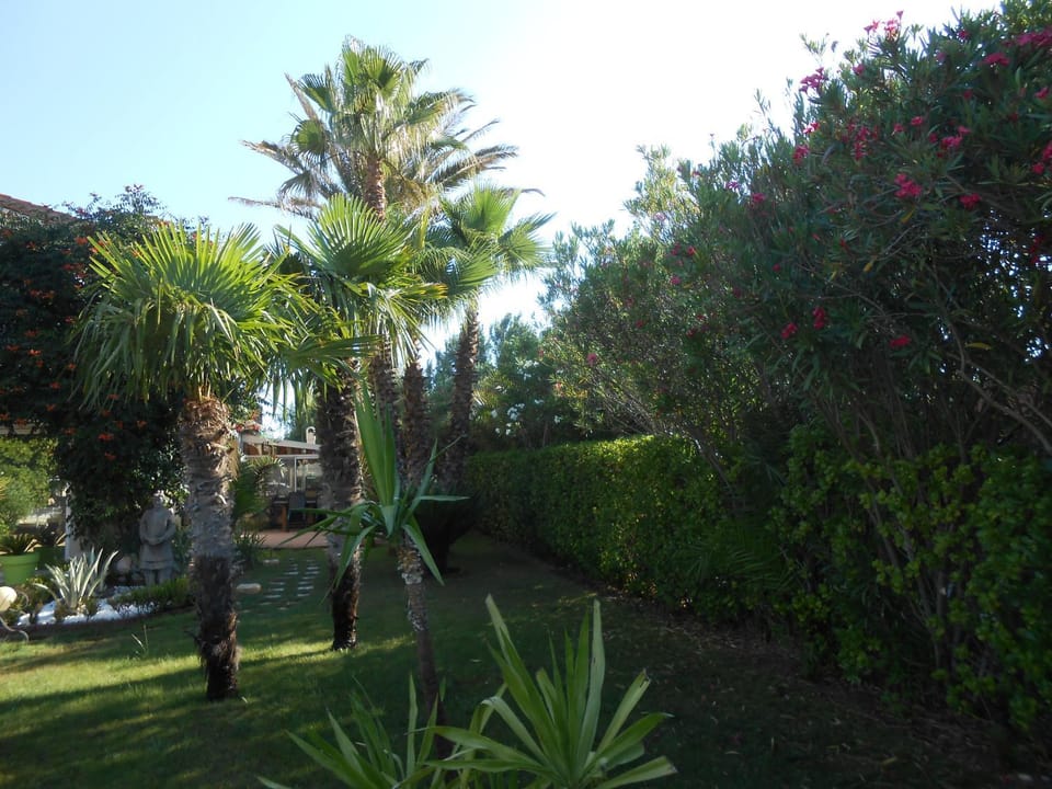 Property building, Natural landscape, Garden view