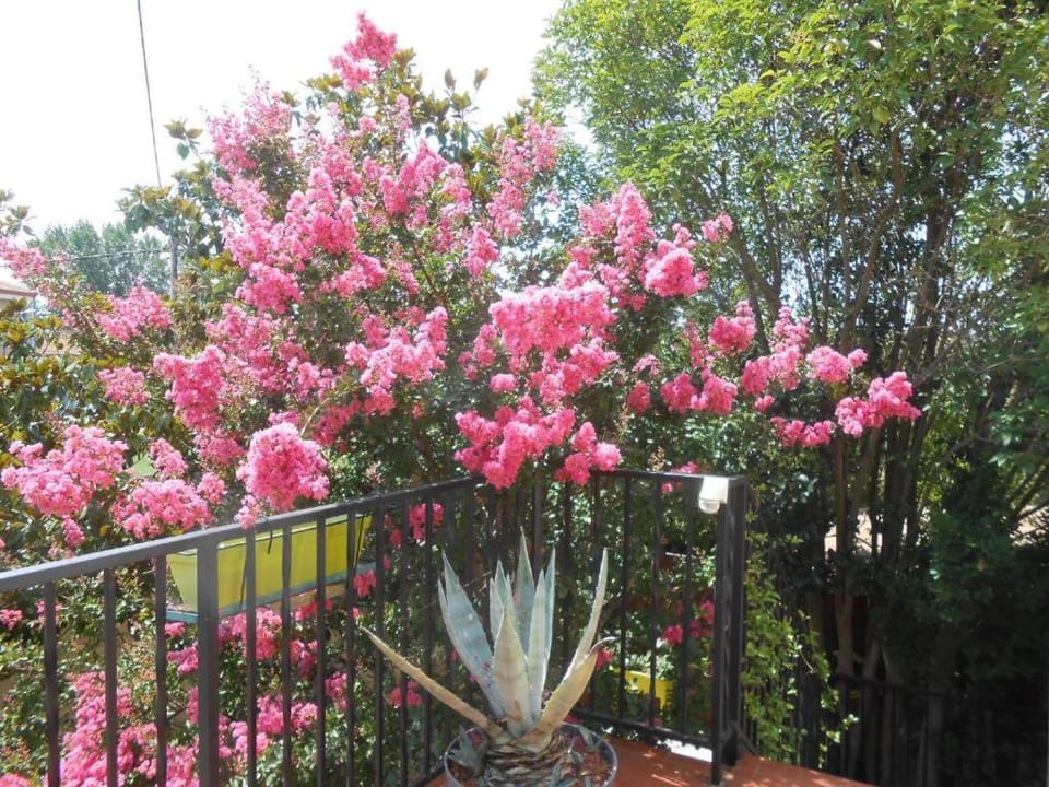 Garden, Garden view