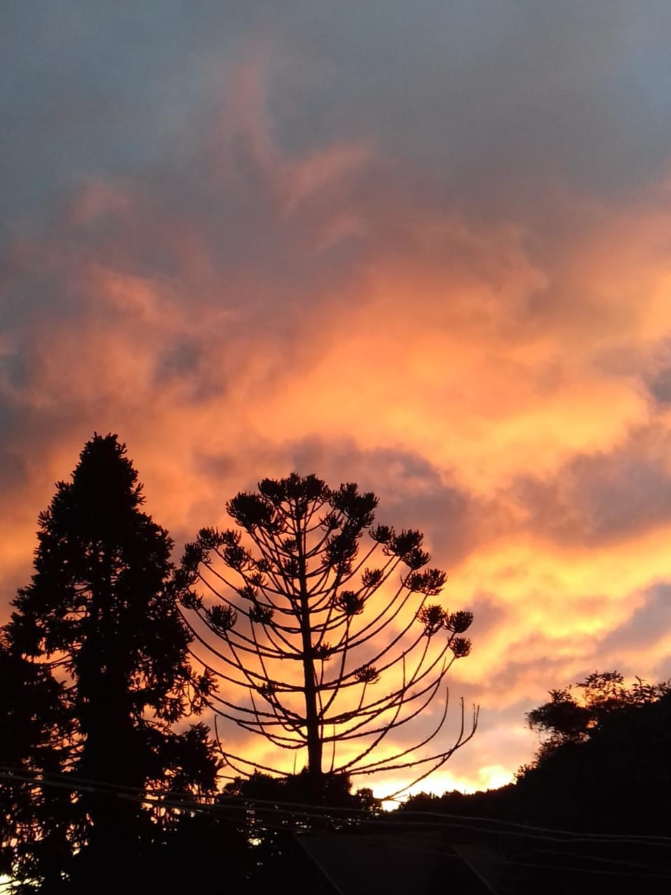 On site, Sunset