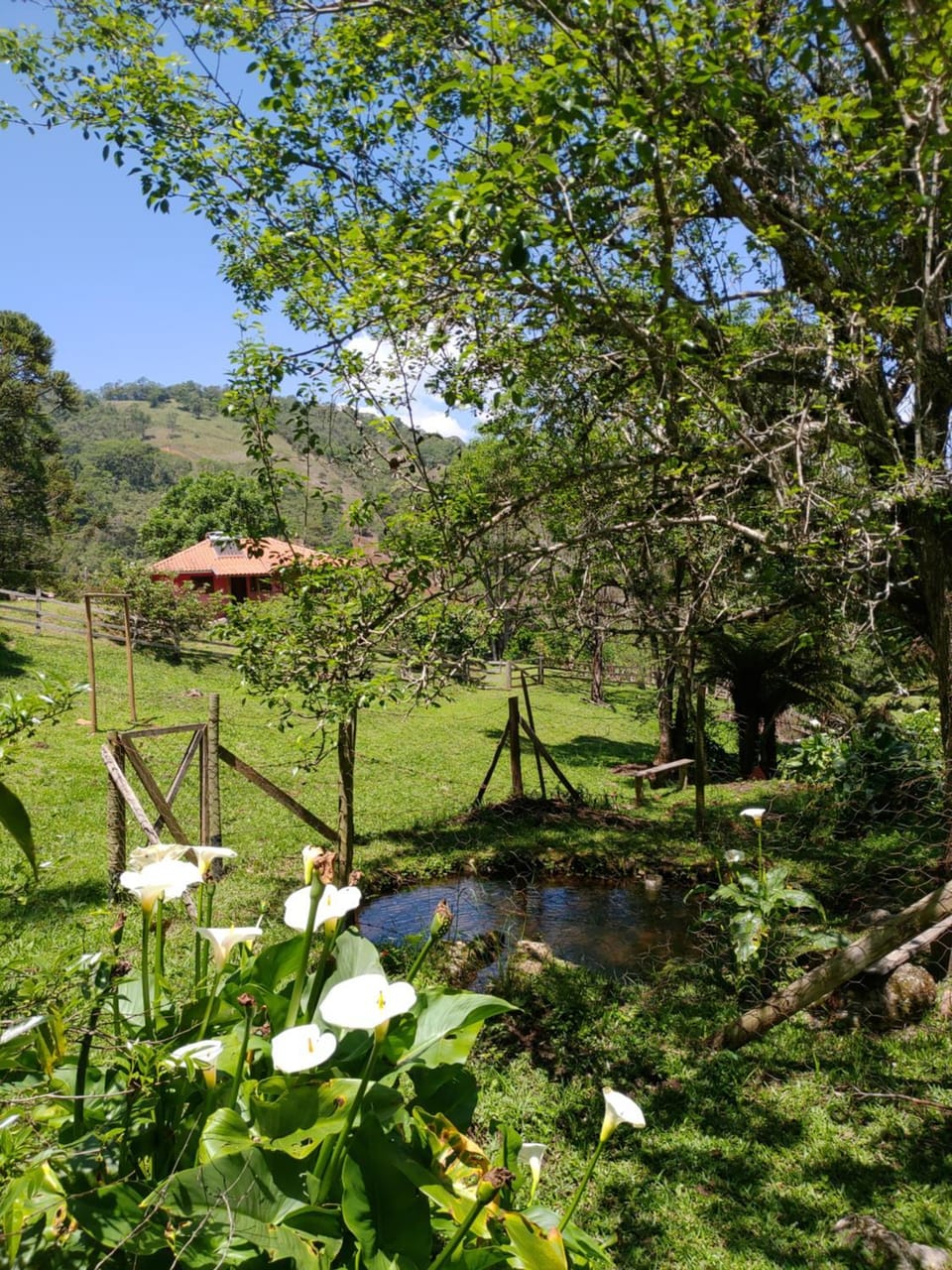 Natural landscape