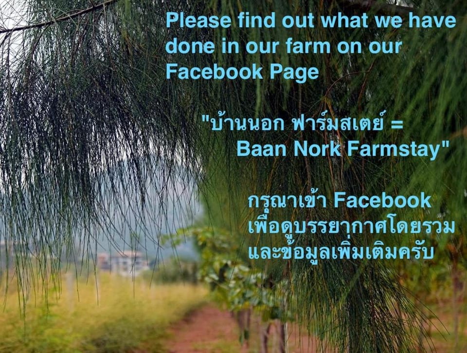 Baan Nork Farmstay บ้านนอก ฟาร์มสเตย์ Farm Stay in Laos