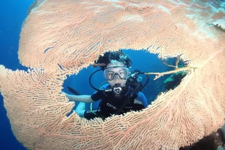 People, Natural landscape, Activities, Animals, group of guests