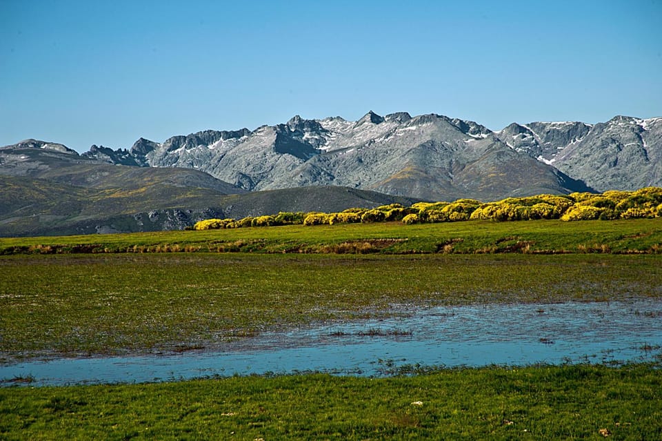 Natural landscape