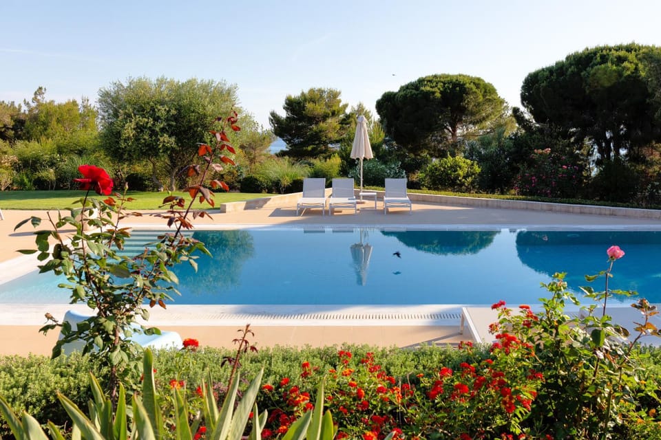 Day, Garden, Pool view, Swimming pool, sunbed