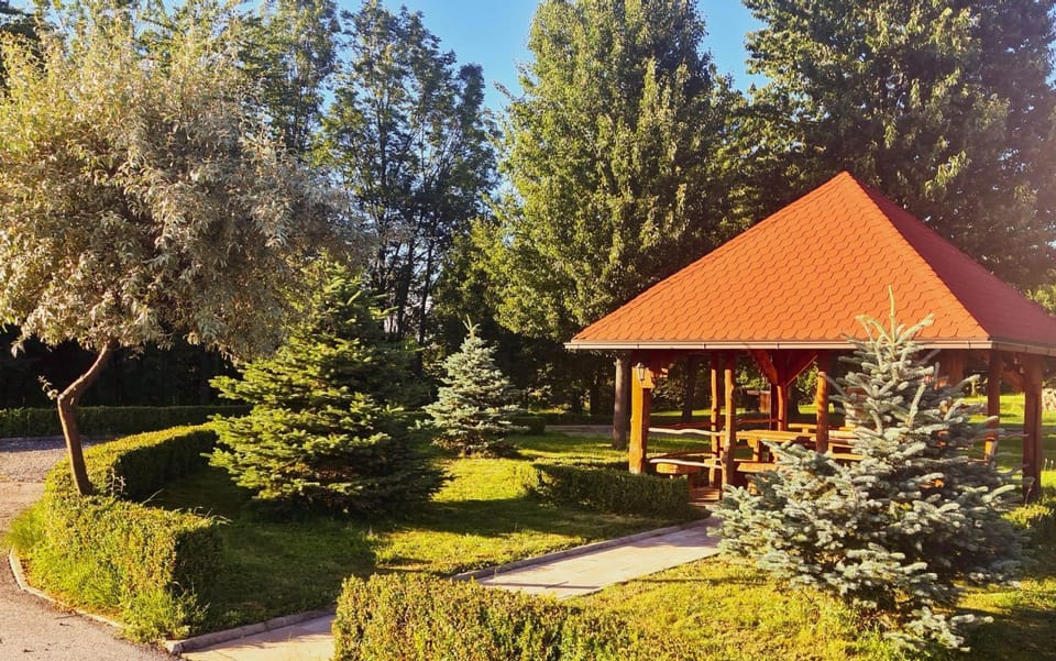 Day, Garden, Garden view