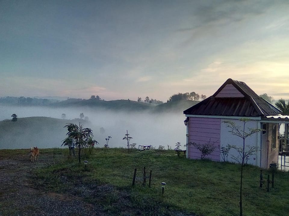 Mountain view